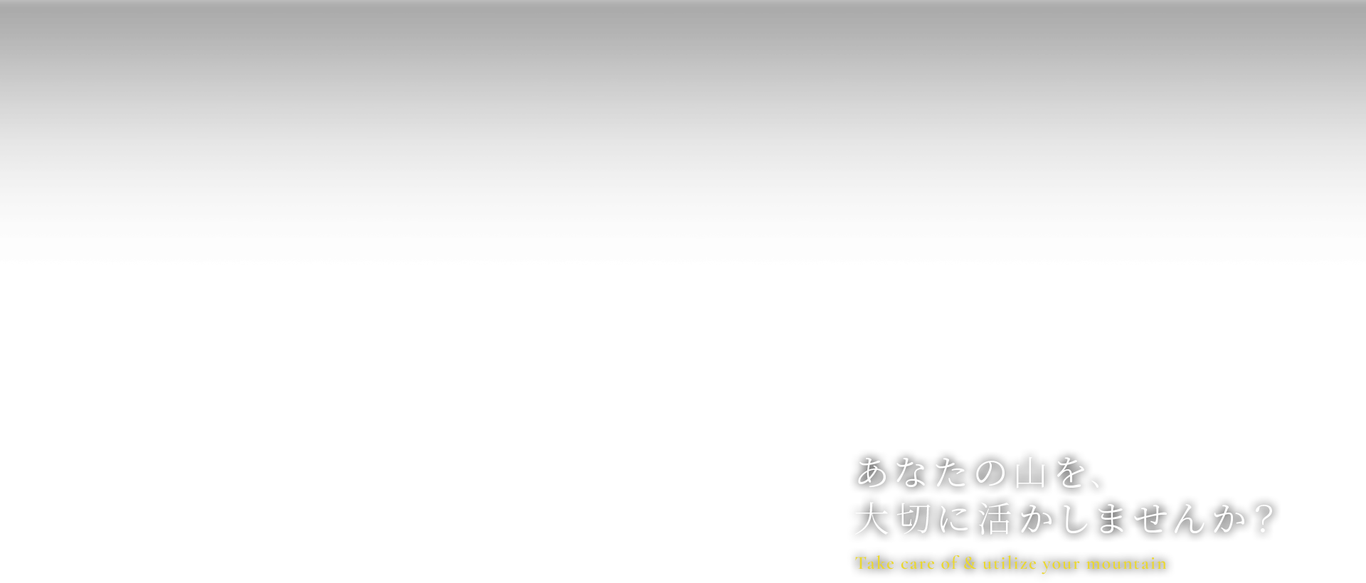 あなたの山を、大切に活かしませんか？
