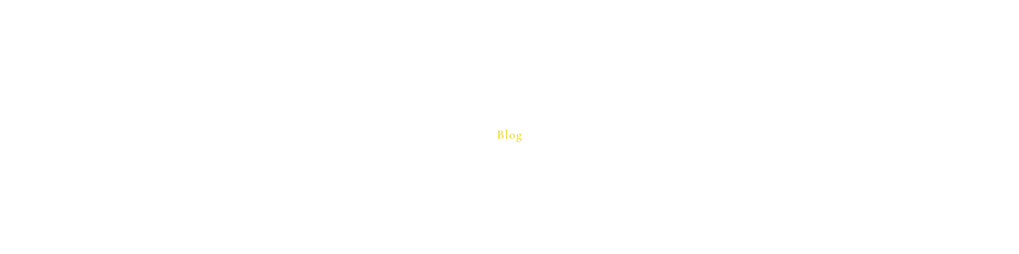 新着情報