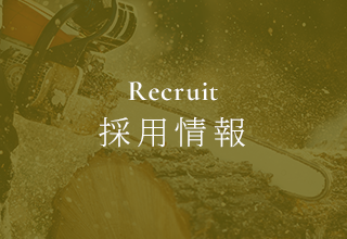 採用情報