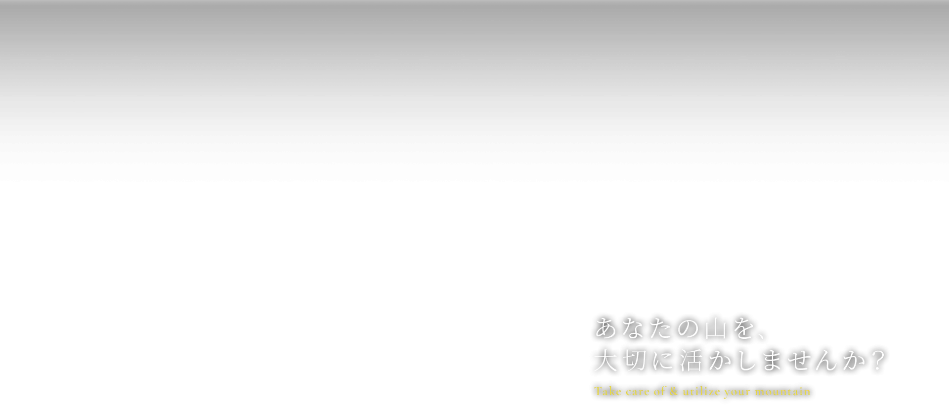 あなたの山を、大切に活かしませんか？