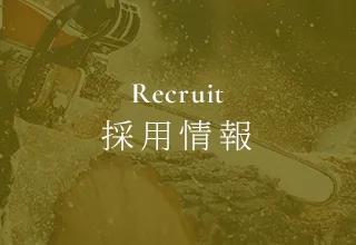 採用情報